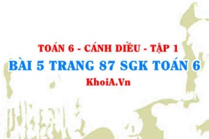 Bài 5 trang 87 SGK Toán 6 tập 1 Cánh Diều